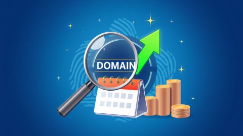 Whois / возраст домена от CPA Daily: бесплатный онлайн‑инструмент для арбитражников